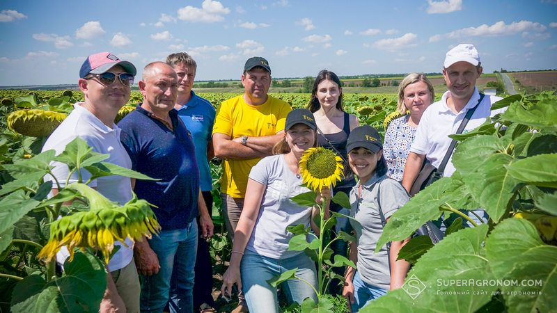 АгроЕкспедиція на соняшниковому полі